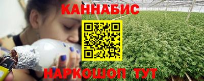 шишки Дубна