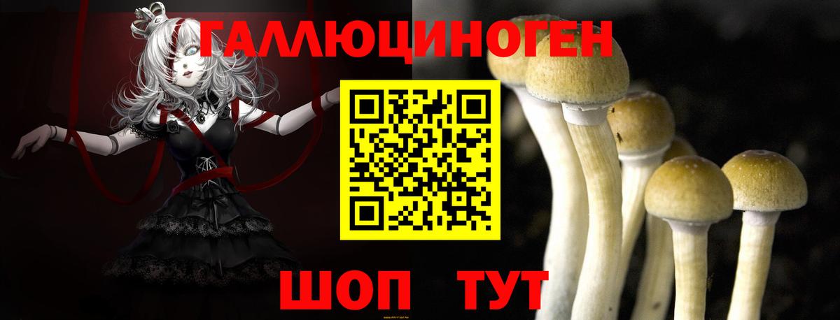 Галлюциногенные грибы GOLDEN TEACHER Мценск